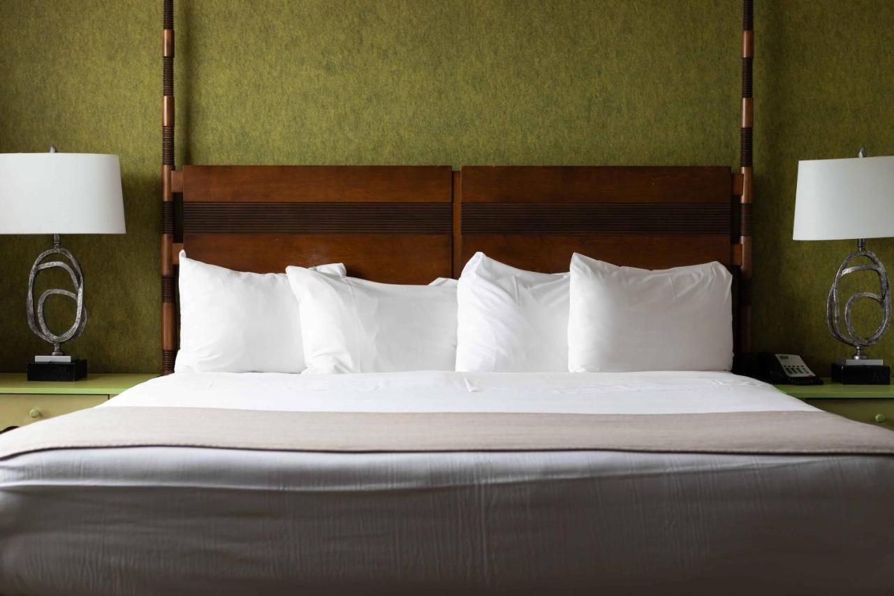 Junior Suite,1697811505:JPEG