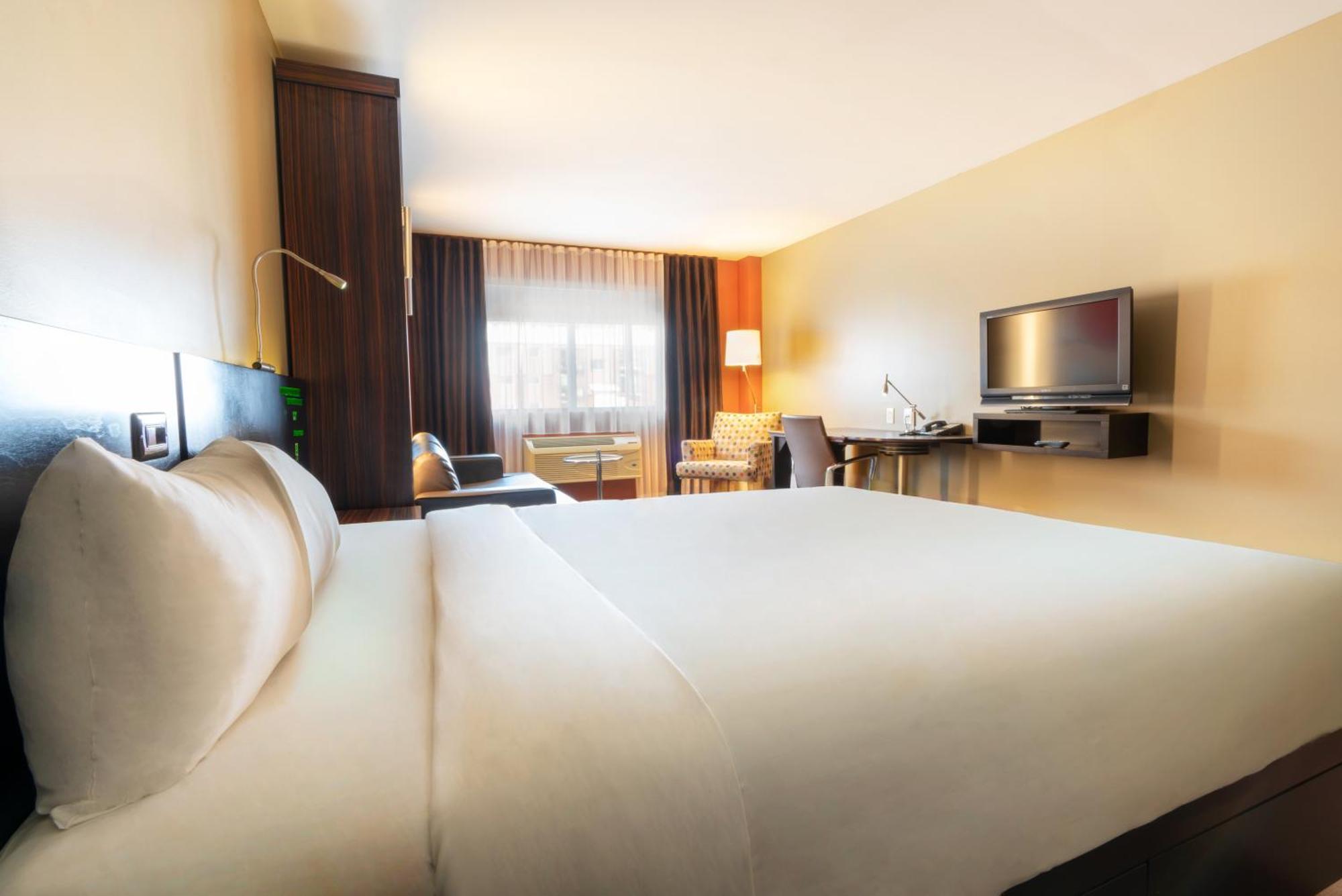 Trendy 2 queen-size beds