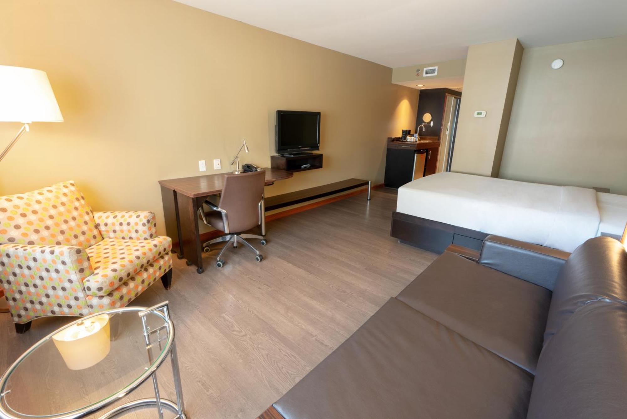 Trendy 2 queen-size beds